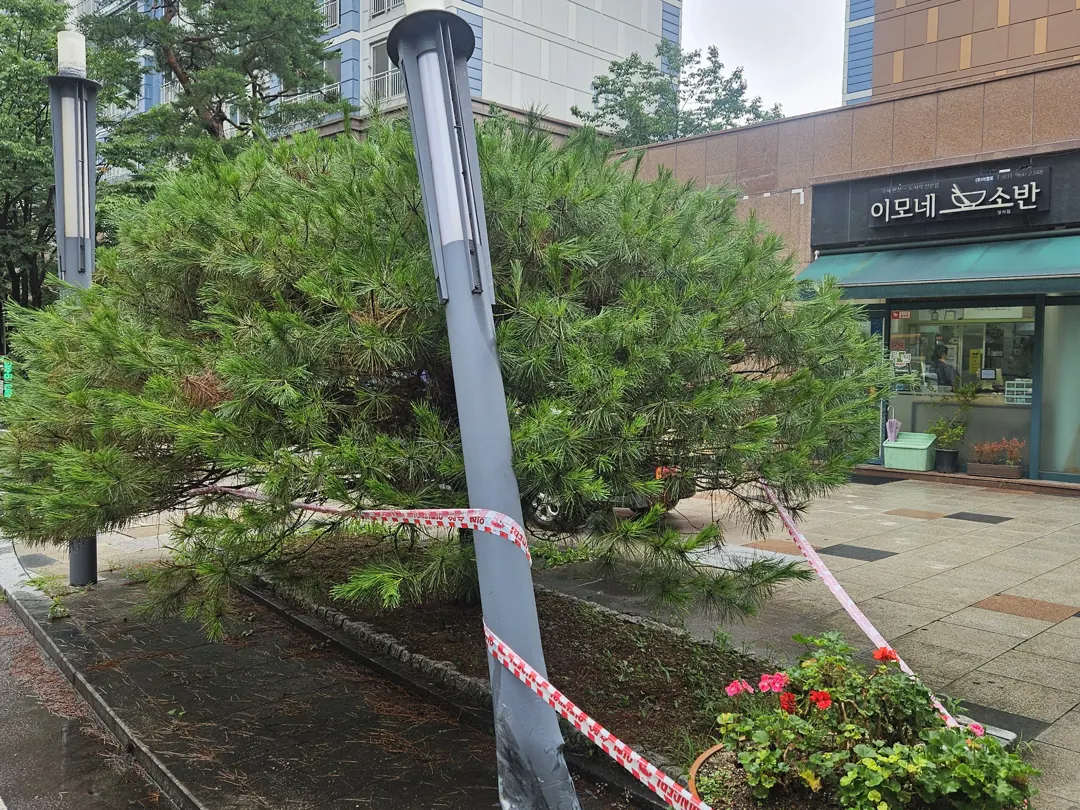 추돌사고로 완전 파손된 가로등 기둥 파손 전